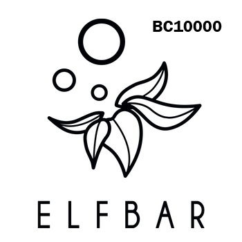 Shop Elf Bar BC10000 products online in Canada