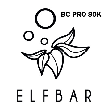 Shop Elf Bar BC Pro 80K products online in Canada