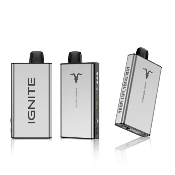 IGNITE V-ICE 40K - Cherry Watermelon Iced