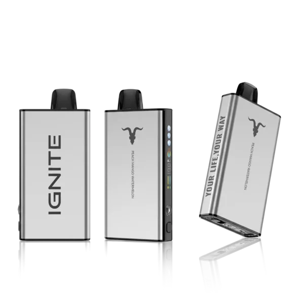 IGNITE V-ICE 40K - Peach Mango Watermelon Iced