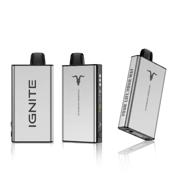 IGNITE V-ICE 40K - Strawberry Watermelon Iced